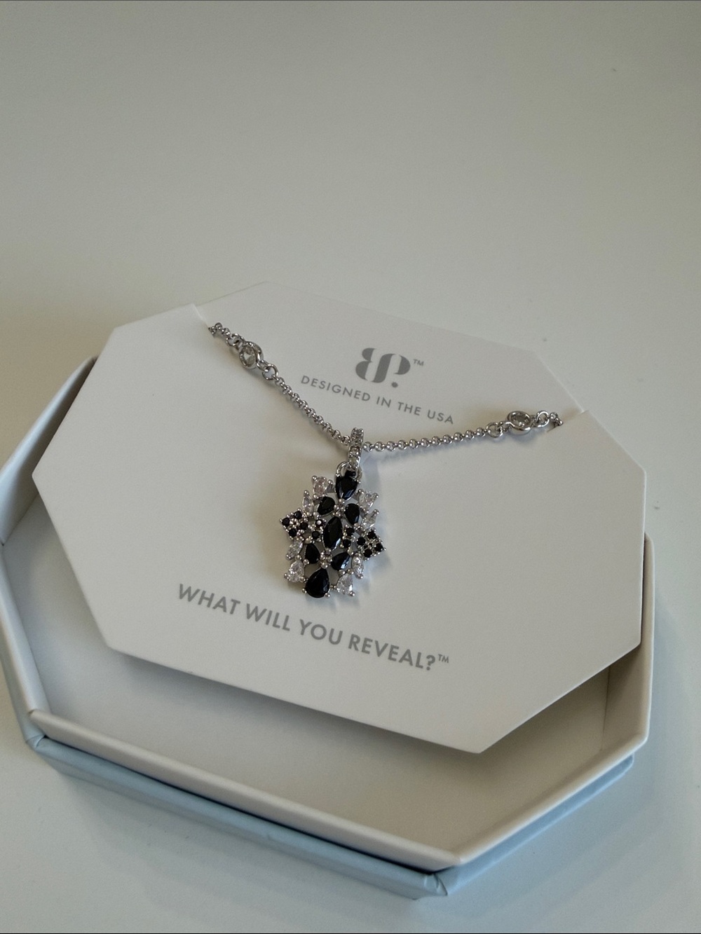BP Extra is Always Welcome necklace